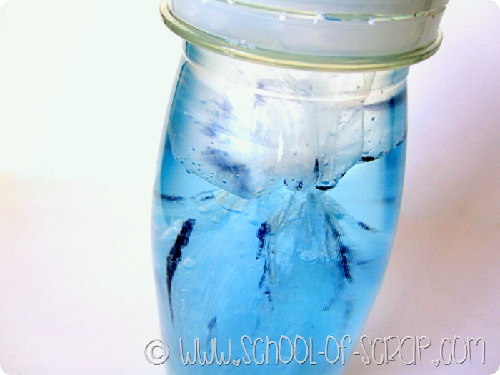 Esperimenti per la scuola: i celenterati e la medusa nel Jellyfish aquarium